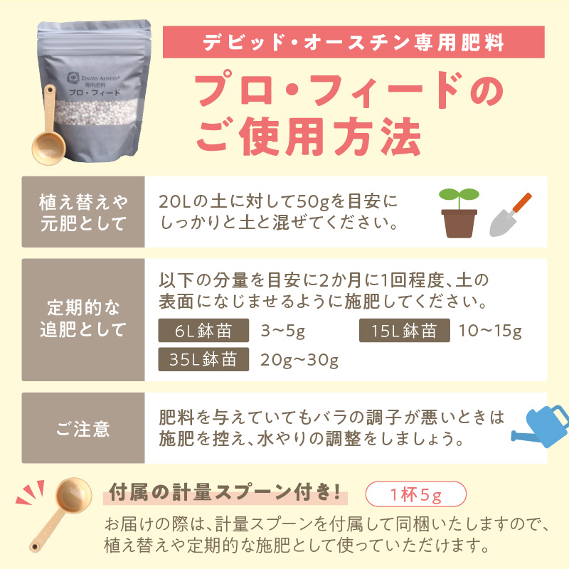 【 イングリッシュローズ 】 デビッド・オースチン つるバラ鉢苗（バラ専用肥料付）【025D-004】