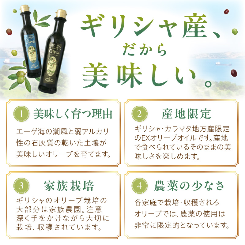 訳あり EXオリーブオイル オリーバ 海 12本セット【026D-004】