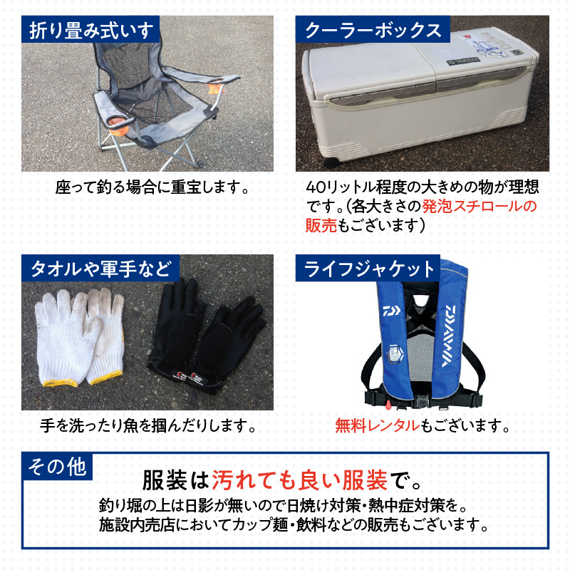 【泉南・樽井漁港】釣掘りサザン 一日利用回数券【044A-002】