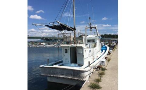 【 泉南 ・ 岡田浦漁港 】 釣り船 湊丸 午前便・午後便 1名様【049D-002】