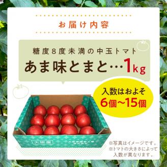 大阪泉州育ち あま味とまと 1kg【051D-006】