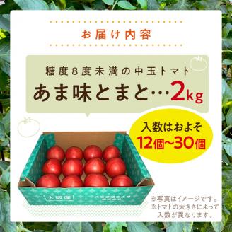 大阪泉州育ち あま味とまと 2kg【051D-009】