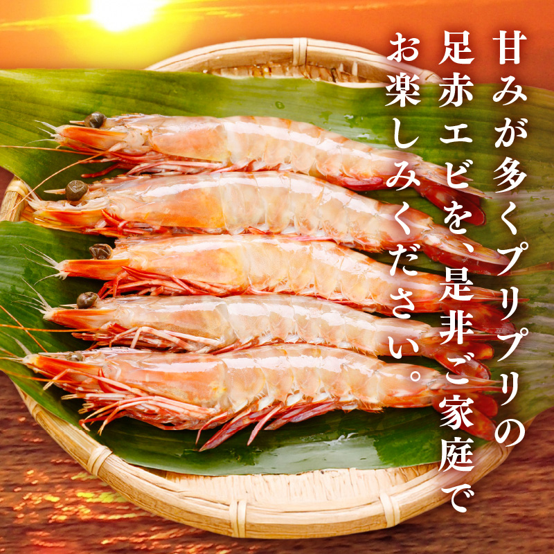 大阪府泉南市産 天然足赤エビ 300g【058D-008】