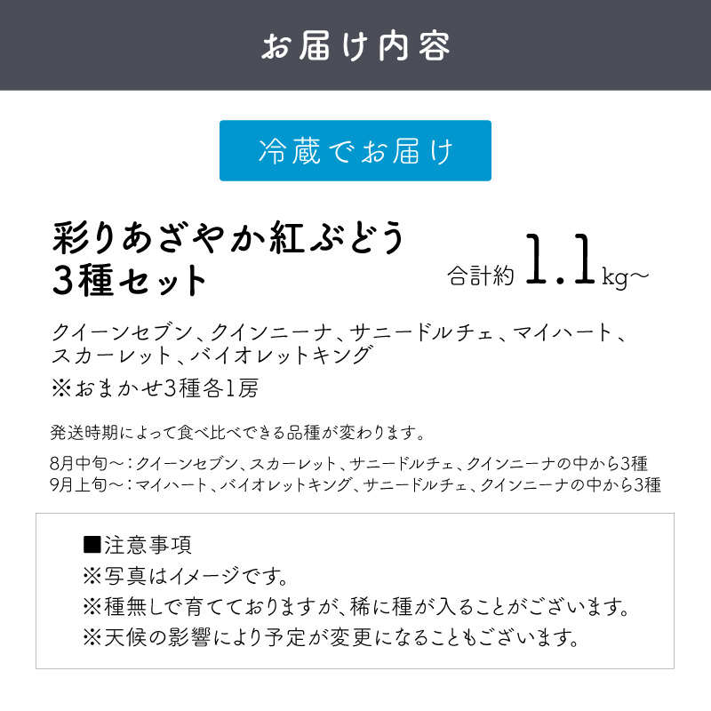 泉州ぶどう 彩りあざやか紅ぶどう 3種セット【065C-005】