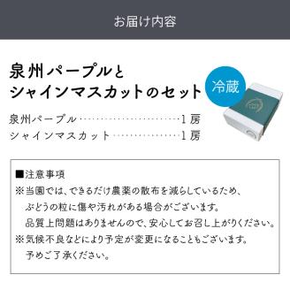 泉州ぶどう 泉州パープルとシャインマスカットのセット【065D-016】