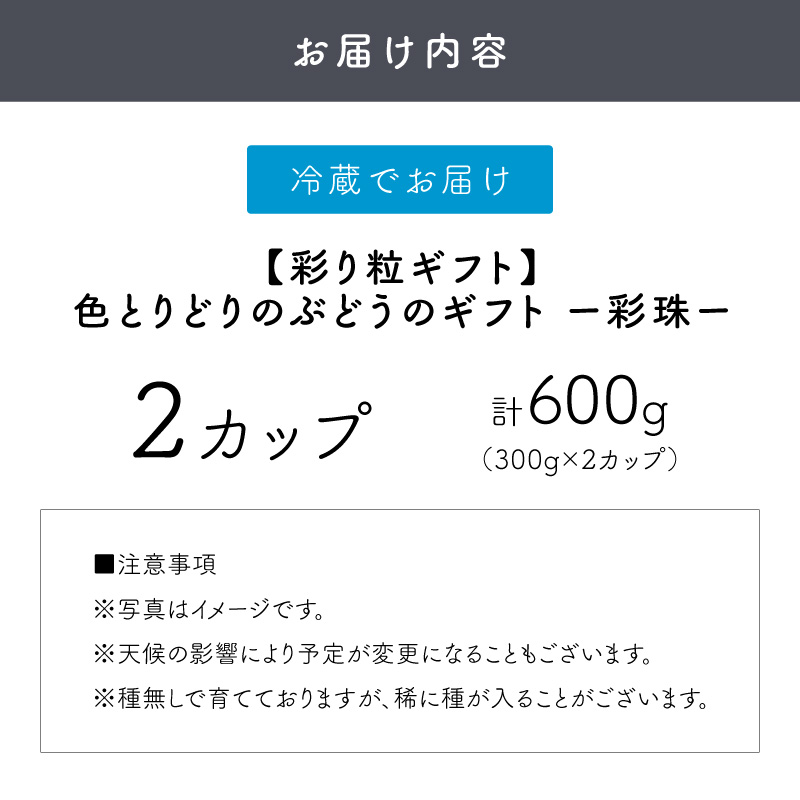 泉州ぶどう【彩り粒ギフト】色とりどりのぶどうのギフト ー彩珠ー【065D-022】