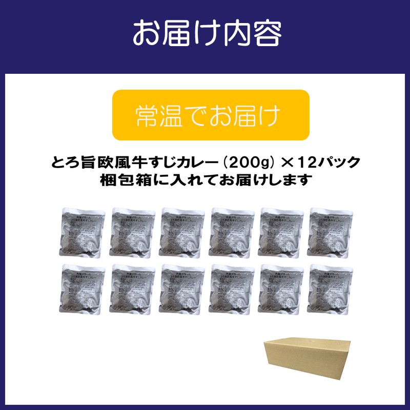 とろ旨欧風牛すじカレー（200g×12パック） ※お届け不可地域あり【069D-013】