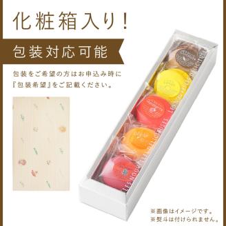 マカロン10個セット【074D-029】