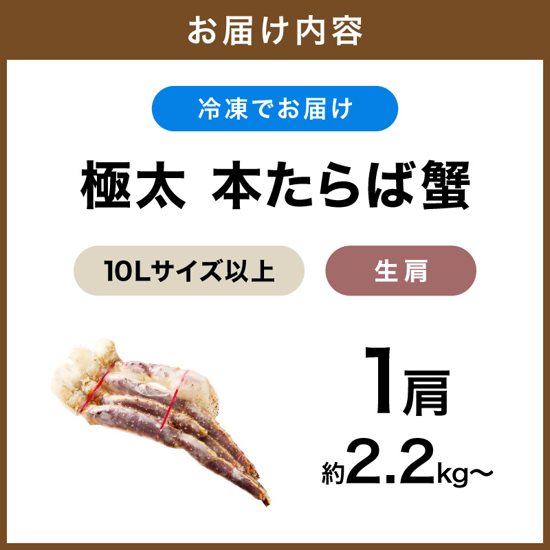 【1肩約2.2kgの10Lサイズ以上】本たらば蟹 生肩 約2.2kg～ 目視選別【087B-048】