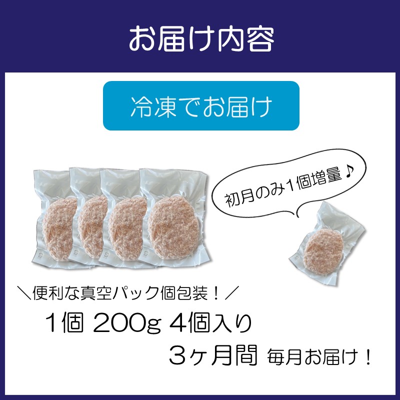 【無添加】食べ応え抜群！ 生ハンバーグ 200g 4個 3ヶ月定期便【087C-012】