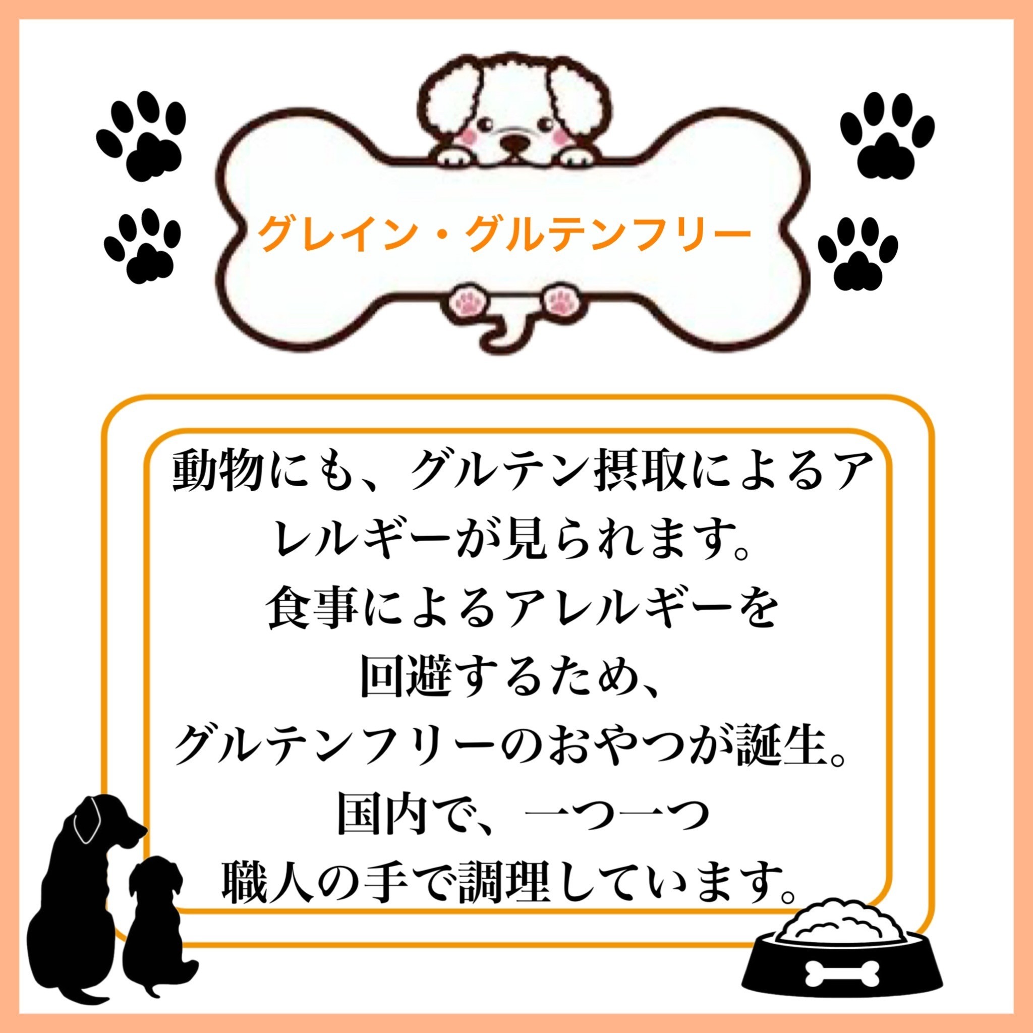 ペットフード研究所 国産無添加 猪ジャーキー100g 6ヶ月定期便【087C-035】