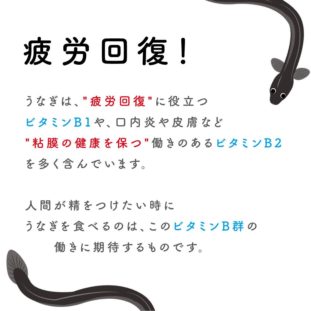 ペットフード研究所 鰻頭 100g【087E-003】