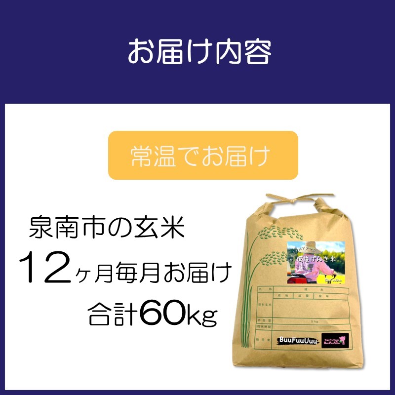 農業姉妹がこだわって栽培！大阪府産 泉南市の玄米5kg 1年定期便【024A-027】