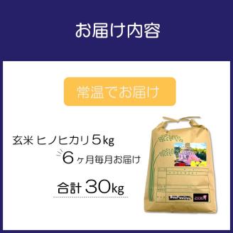 農業姉妹がこだわって栽培！玄米5kg半年定期便【024B-006】