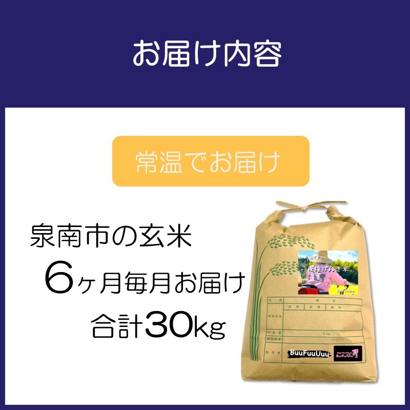 農業姉妹がこだわって栽培！大阪府産 泉南市の玄米5kg 半年定期便【024A-026】