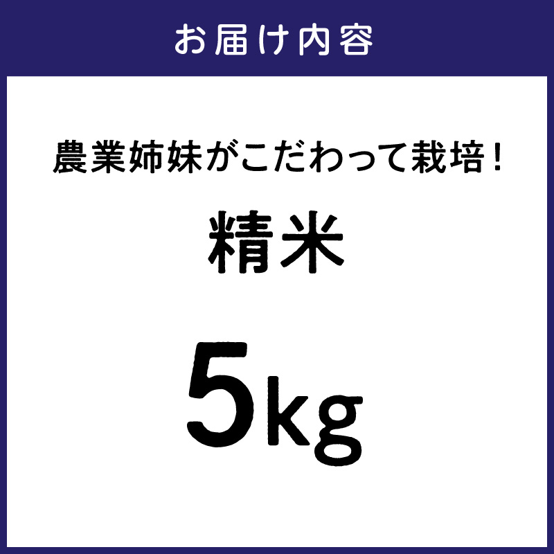 農業姉妹がこだわって栽培！こだわりのお米 白米5kg【024D-005】