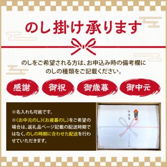 CLAN DELI 欧風ビーフカレー 4個 ・ ジャワ風カレー 4個 計8個【052D-002】