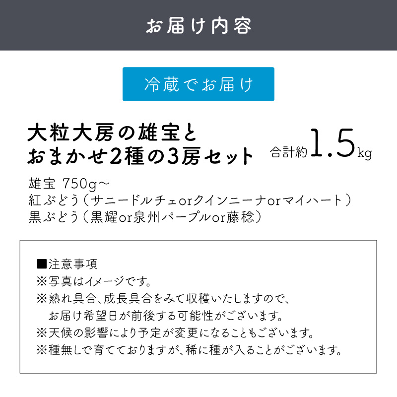 泉州ぶどう 大粒大房の雄宝とおまかせ2種の3房セット【065C-006】