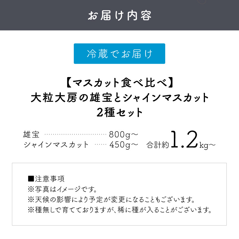 泉州ぶどう 【マスカット食べ比べ】大粒大房の雄宝とシャインマスカット 2種セット【065C-007】
