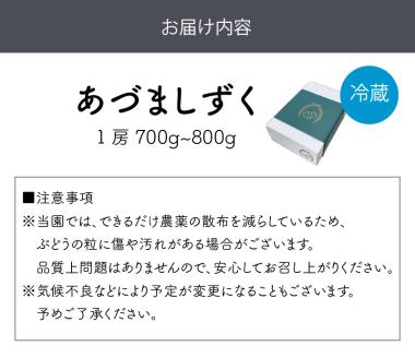 泉州ぶどう あづましずく 1房【065D-009】