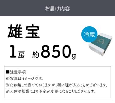 泉州ぶどう 雄宝 1房【065D-011】