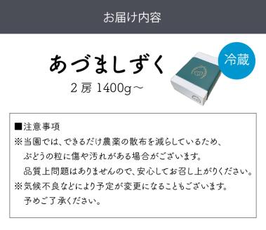 泉州ぶどう あづましずく 2房【065D-012】