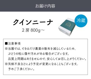 泉州ぶどう クインニーナ 2房【065D-013】