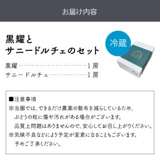 泉州ぶどう 黒耀とサニードルチェのセット【065D-014】