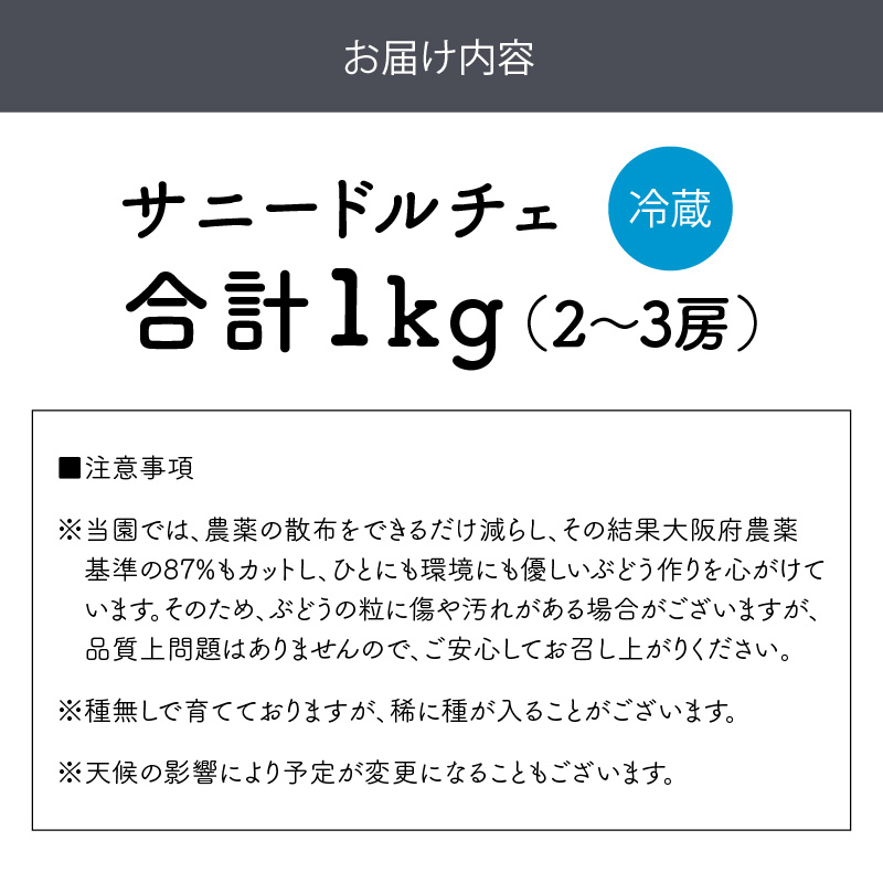泉州ぶどう 太陽の甘みたっぷりサニードルチェ【065D-018】