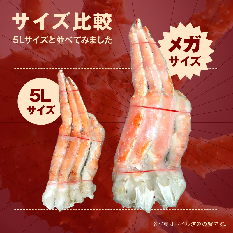 【2肩約5kgの超極太10L以上メガサイズ】一番人気！ 本たらば蟹 生肩 約5kg 目視選別【087A-007】