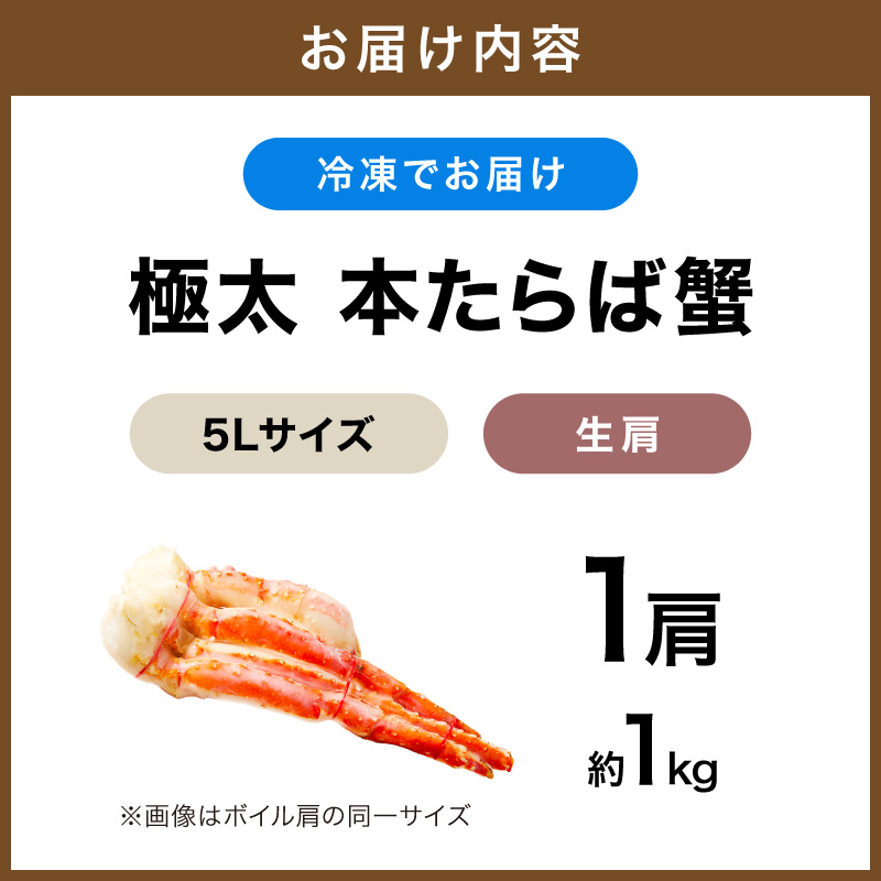 【1肩約1kgの極太5Lサイズ】一番人気！ 本たらば蟹 生肩 約1kg 目視選別【087C-070】