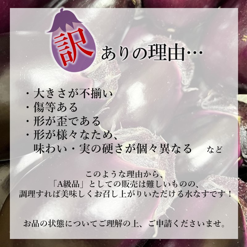 まるやま農園 泉州生水なす訳あり品【087D-034】