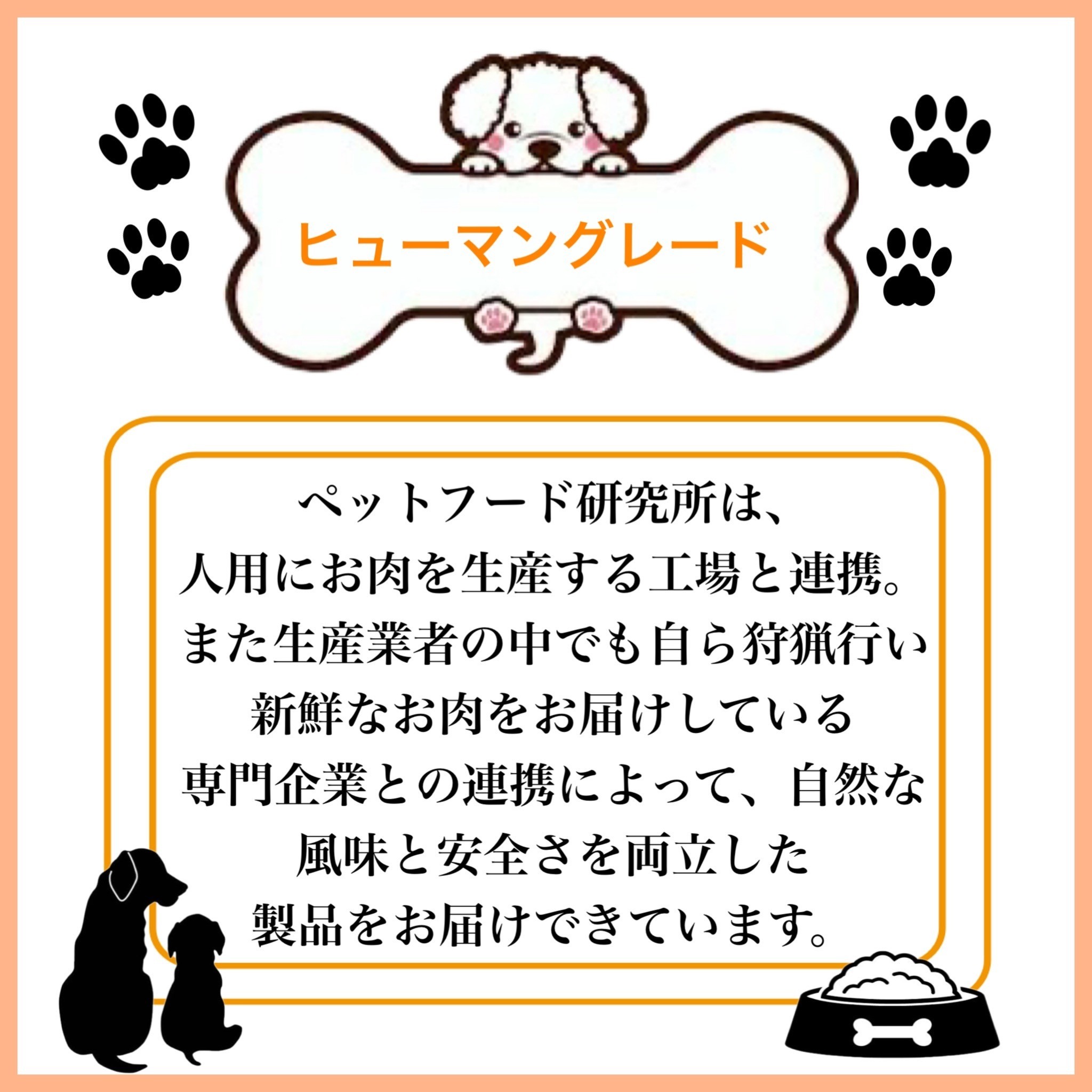 ペットフード研究所 国産無添加 猪ジャーキー100g【087E-018】
