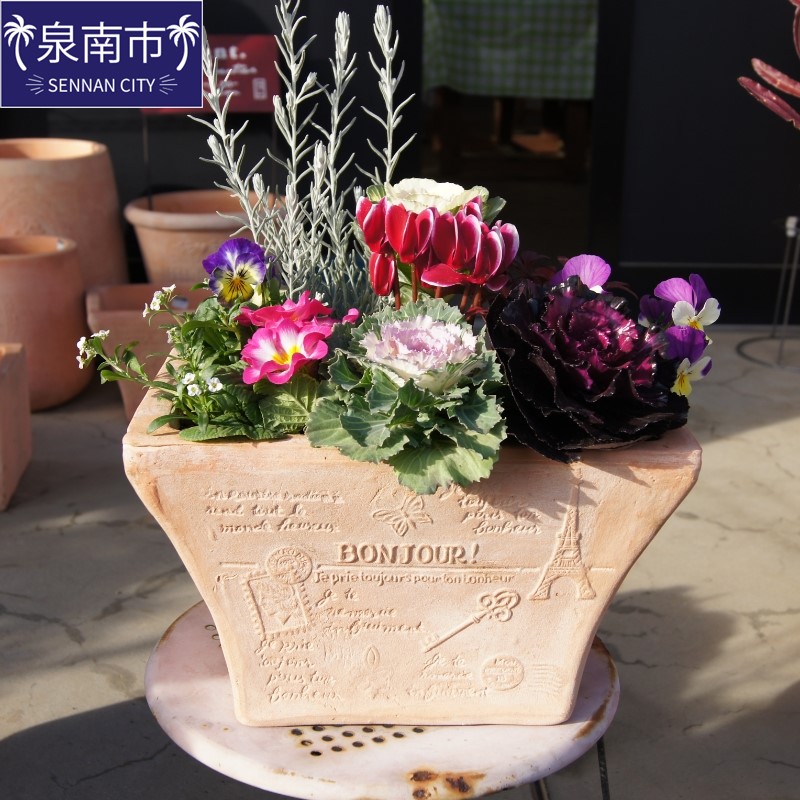 季節の花の寄せ植え 35cm【005C-007】