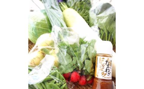 地元野菜の美味 いろどり野菜セット 100サイズ箱 ドレッシング付 ※お届け不可地域あり【015D-012】