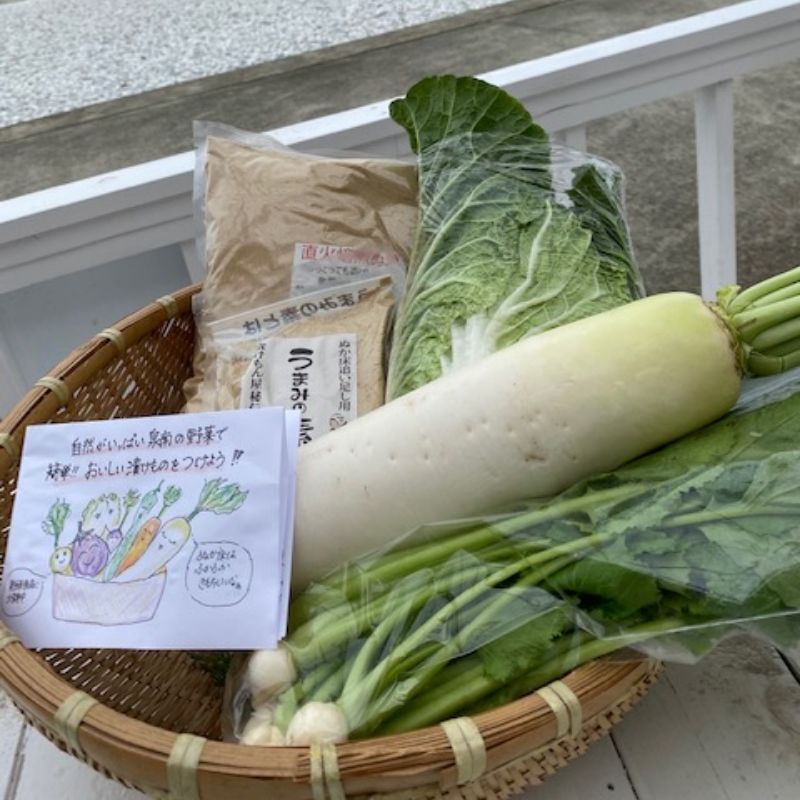 野菜がおいしく漬かる糠漬けセット 100サイズ箱 ※お届け不可地域あり【015E-010】