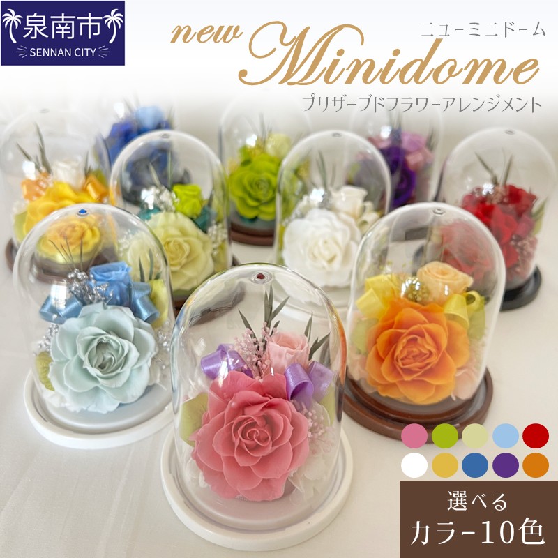 ニューミニドーム プリザーブドフラワー アレンジメント【023D-015】