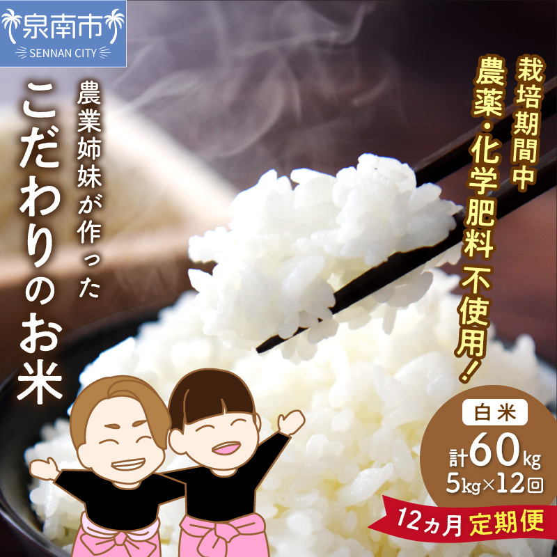 農業姉妹がこだわって栽培！こだわりのお米 白米5kg 1年定期便【024A-012】