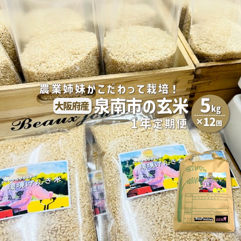 農業姉妹がこだわって栽培！大阪府産 泉南市の玄米5kg 1年定期便【024A-027】
