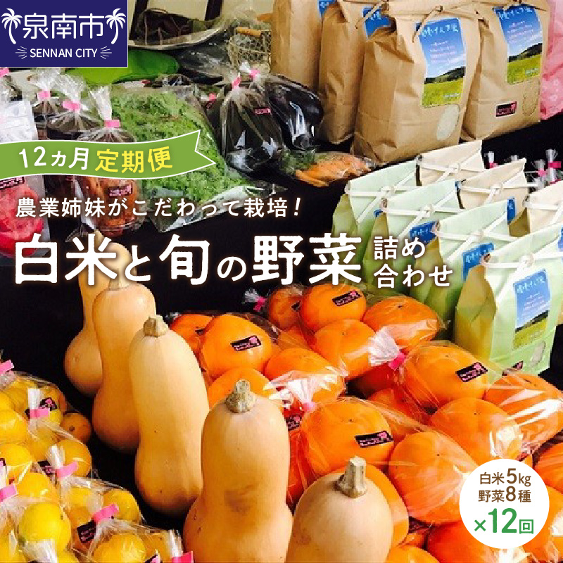 農業姉妹がこだわって栽培！ 白米5kgと旬の野菜詰め合わせ8種 1年定期便【024A-029】