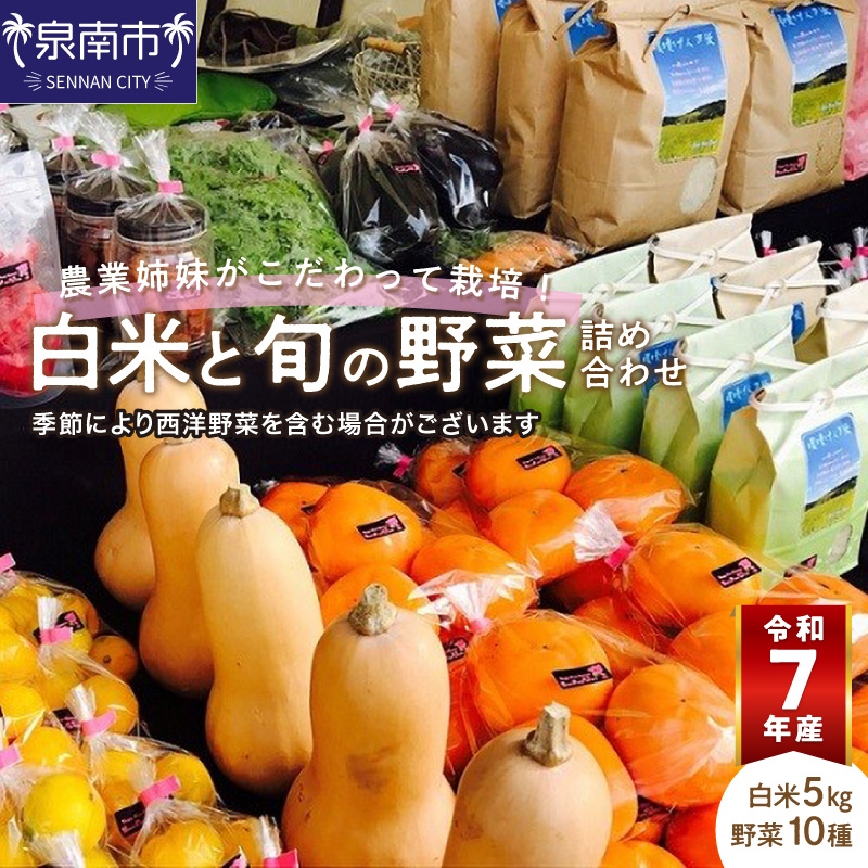 農業姉妹がこだわって栽培！白米5kgと旬の厳選野菜10種【024C-001】