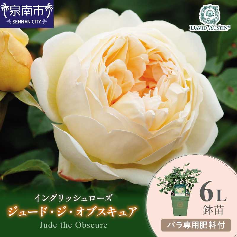 ROSE様専用 roseさま専用 別売りソファ付属 オットマン roseさま専用