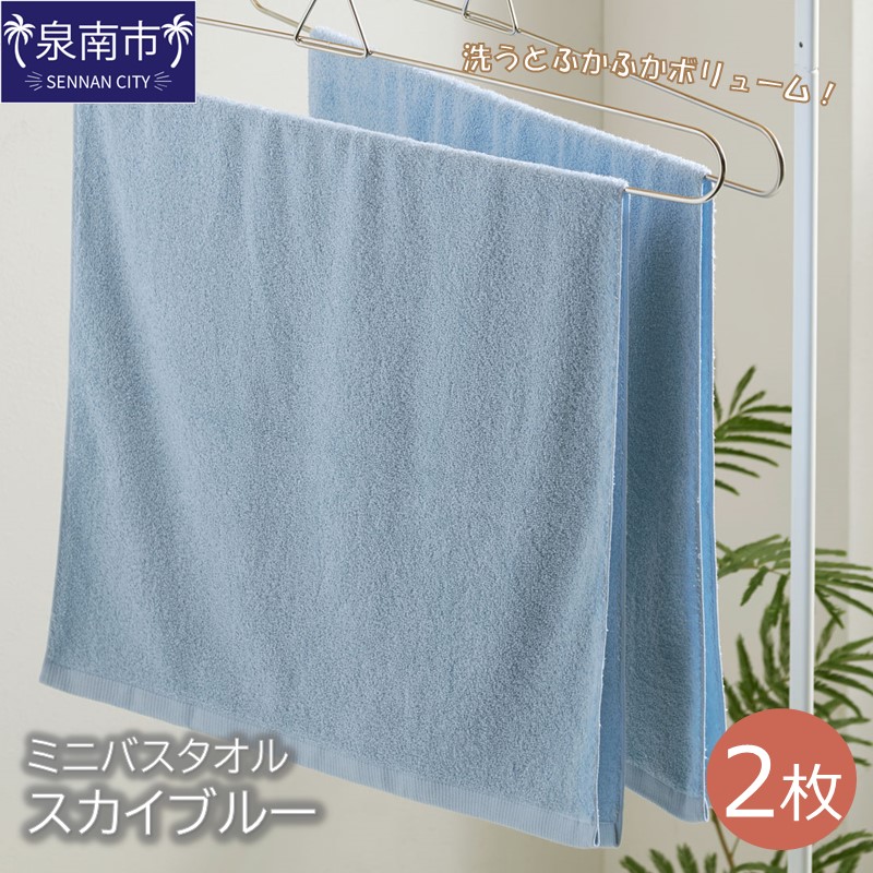 ハンガーで干せるミニバスタオル スカイブルー2枚 ※お届け不可地域あり【039E-047】