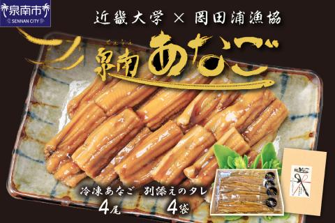 近畿大学×岡田浦漁協『泉南あなご』4尾入り！【058D-003】