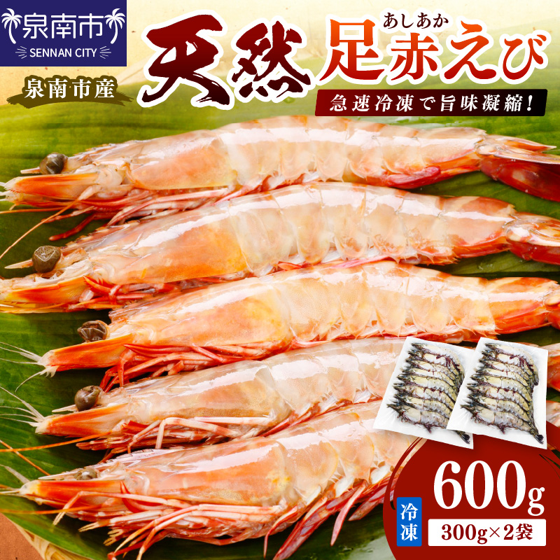 大阪府泉南市産 天然足赤エビ 600g【058D-007】