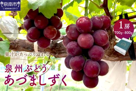 泉州ぶどう あづましずく 1房【065D-009】