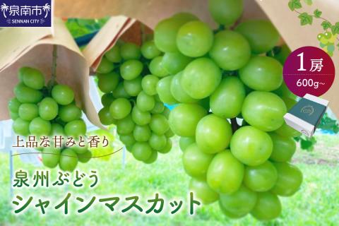 泉州ぶどう シャインマスカット 1房【065D-010】