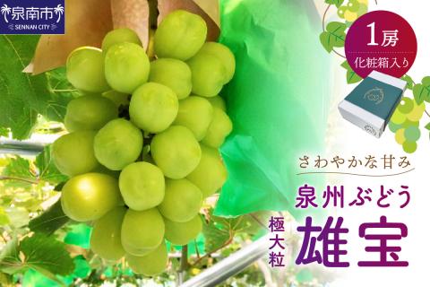 泉州ぶどう 雄宝 1房【065D-011】