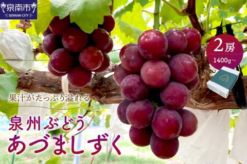 泉州ぶどう あづましずく 2房【065D-012】