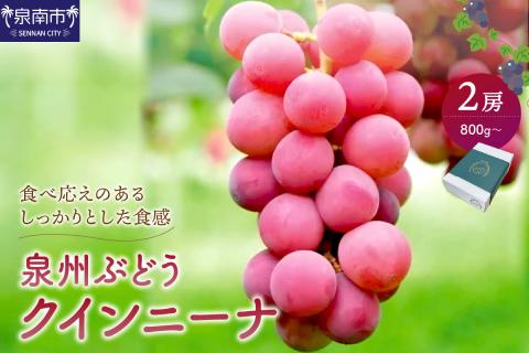 泉州ぶどう クインニーナ 2房【065D-013】